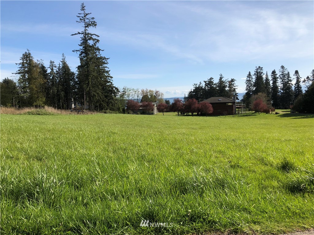 998 Summer Road Freeland, WA 98249 - Photo 6 of 13 Gallery Image 6