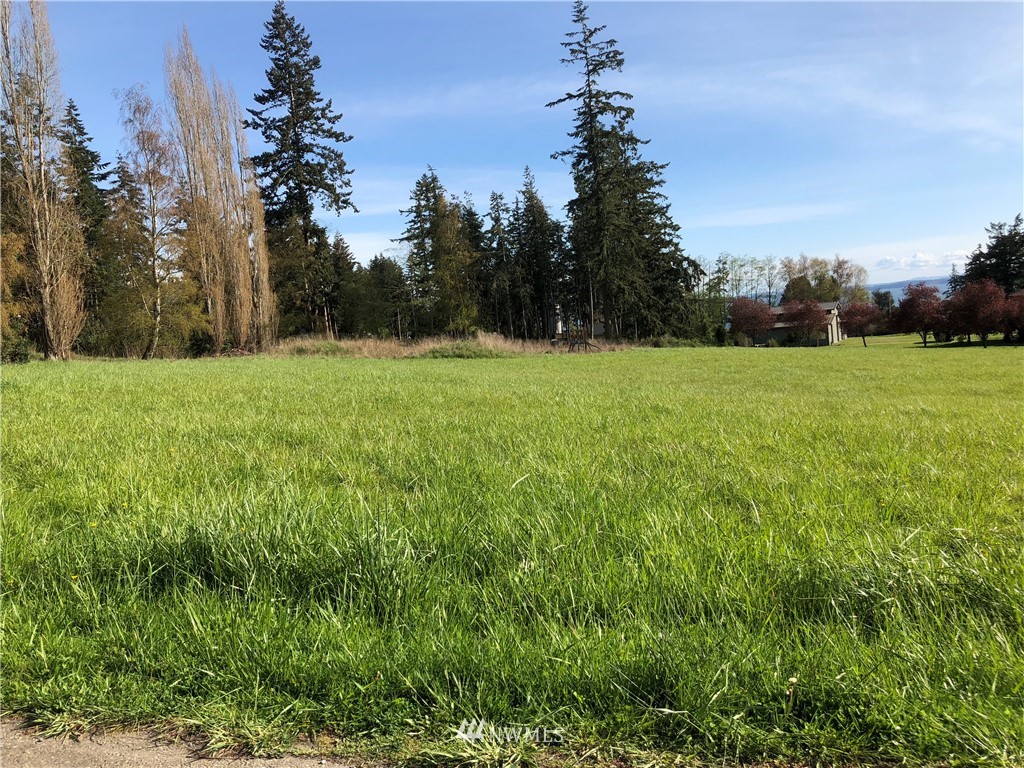 998 Summer Road Freeland, WA 98249 - Photo 7 of 13 Gallery Image 7