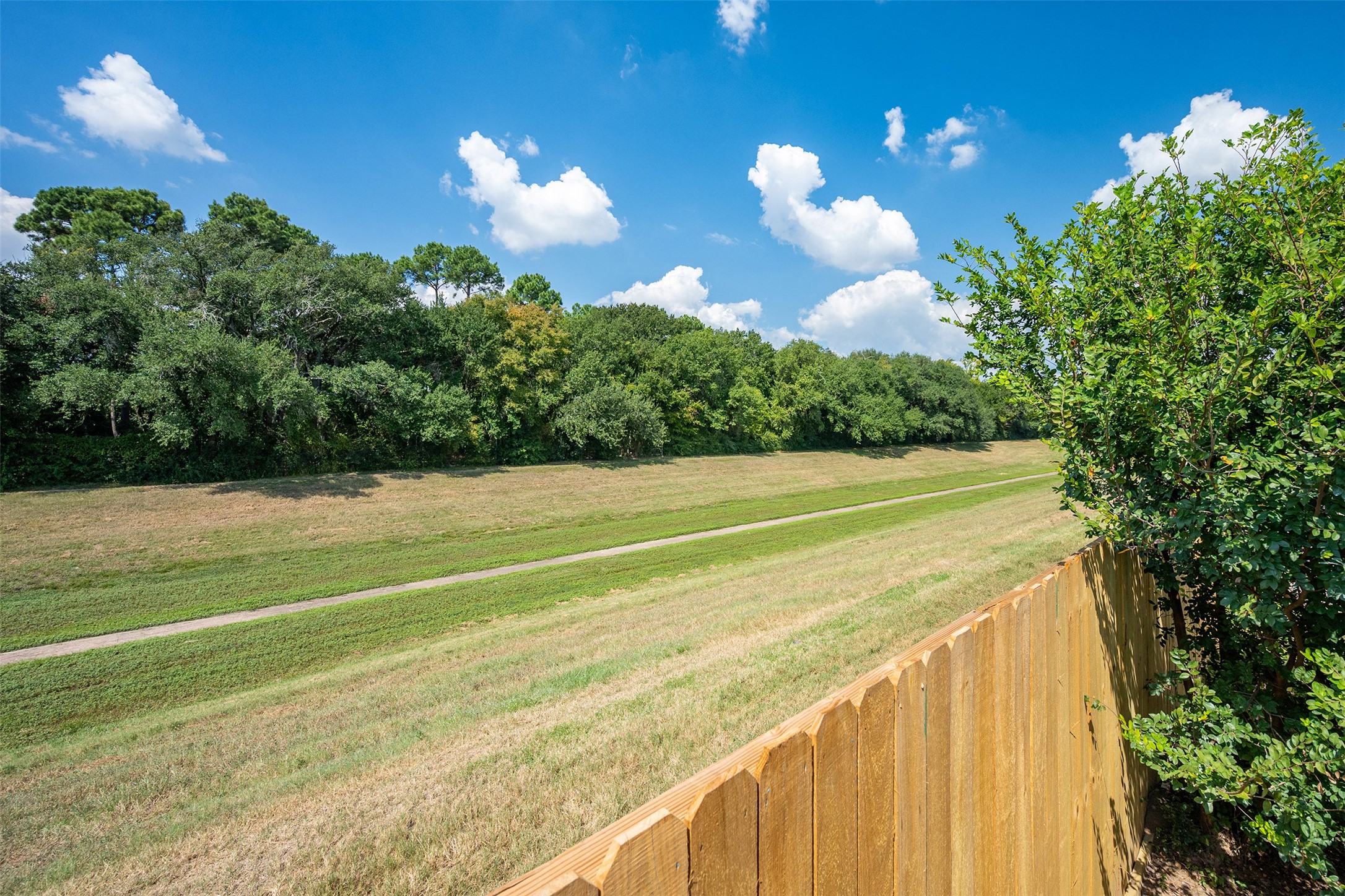 15823 Kings Cypress Lane Cypress, TX 77429 - Photo 30 of 33 Back to large airy green space!