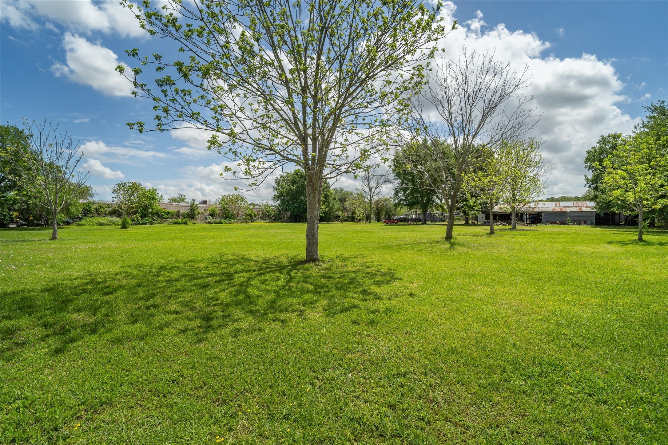 7833 Almeda Genoa Road Houston, TX 77075 - Photo 19 of 21 a view of a trees in a park