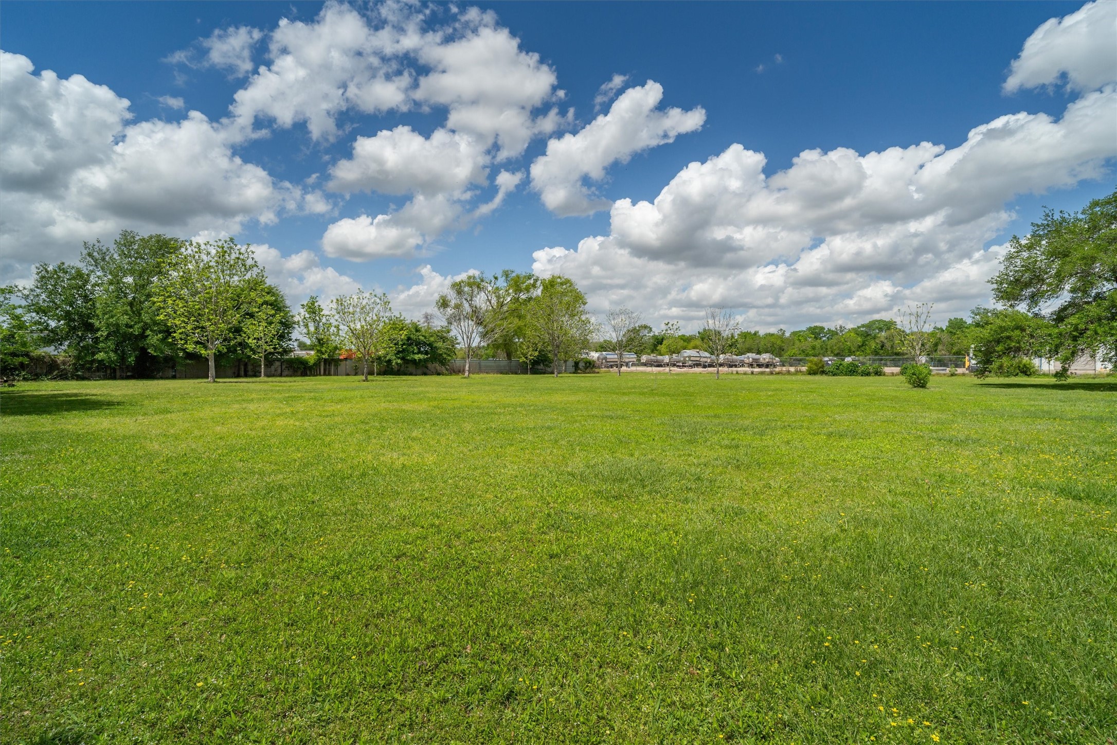 7833 Almeda Genoa Road Houston, TX 77075 - Photo 20 of 21 a view of a big yard with plants and large trees
