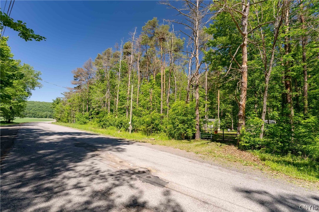 8804 Becker Road Springwater, NY 14572 - Photo 24 of 34