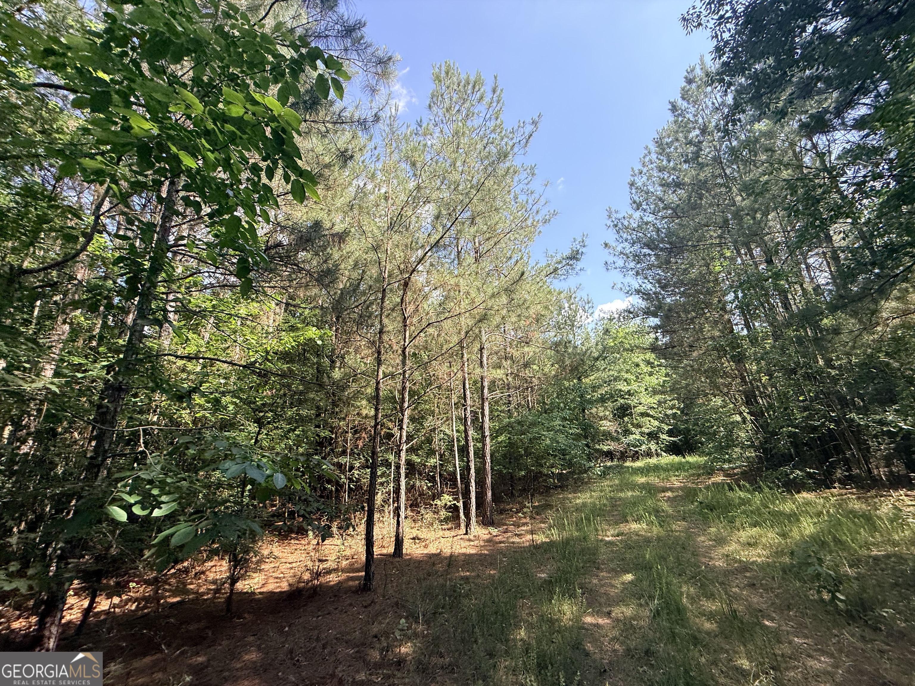 2 Bethesda Church Road Lexington, GA 30648 - Photo 28 of 66