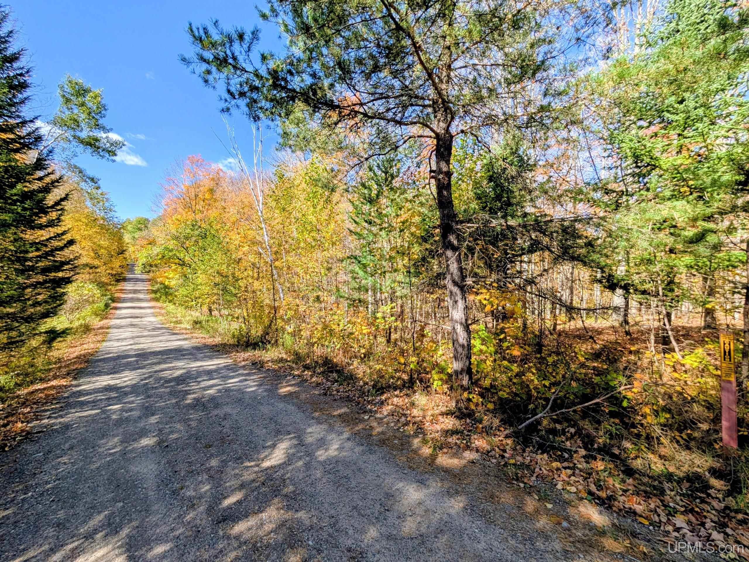 20-acres Don's Road Iron River, MI 49935 - Photo 6 of 13 Gallery Image 6