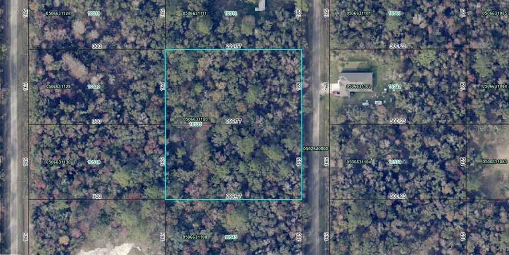 10535 Ruth Avenue Hastings, FL 32145 - Photo 3 of 8