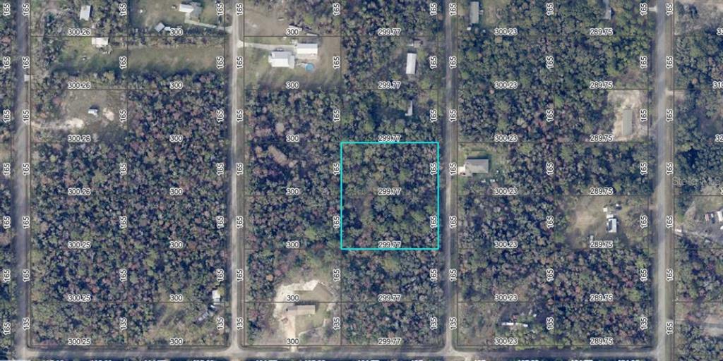 10535 Ruth Avenue Hastings, FL 32145 - Photo 4 of 8 a picture of a tree in a forest