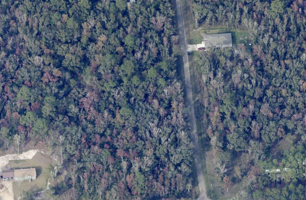 10535 Ruth Avenue Hastings, FL 32145 - Photo 5 of 8 a close view of a house