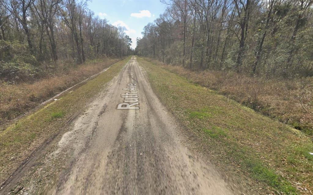 10535 Ruth Avenue Hastings, FL 32145 - Photo 8 of 8 a view of wooden floor in a yard