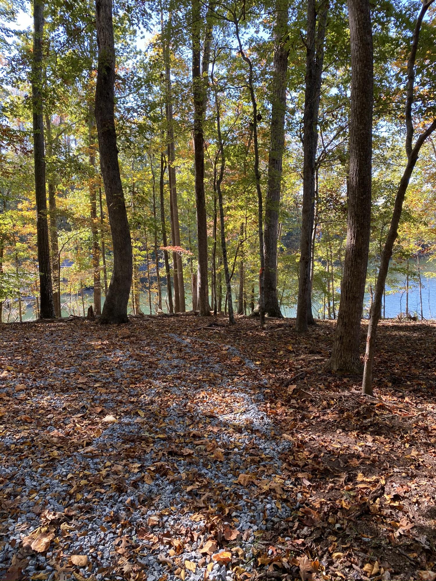 0 Piney Point Road Union Hall, VA 24176 - Photo 5 of 43 Photo Oct 20, 1 22 01 PM