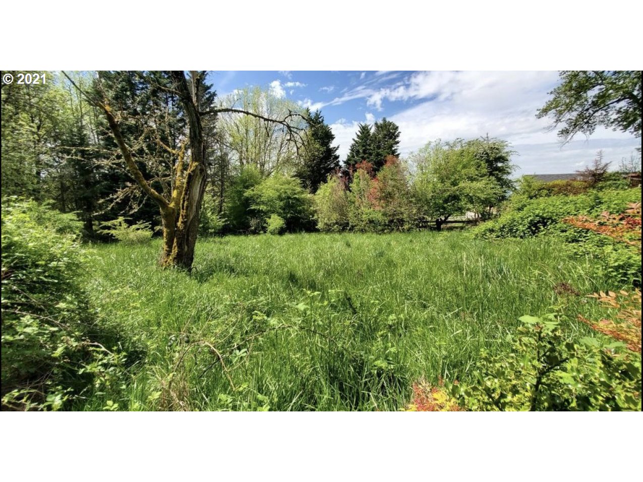 10600 Northwest Laidlaw Road Portland, OR 97229 - Photo 3 of 5 Gallery Image 3