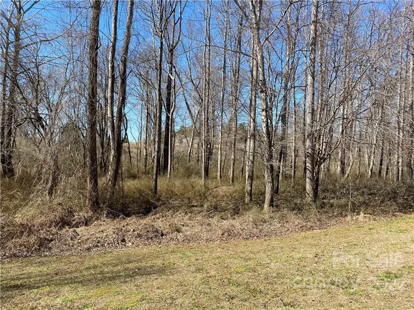 $29,900 | 0 Bridge Lane, Unit 42, Tryon, NC 28782