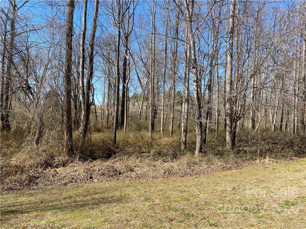 0 Bridge Lane, Unit 42 Tryon, NC 28782 - Photo 3 of 10