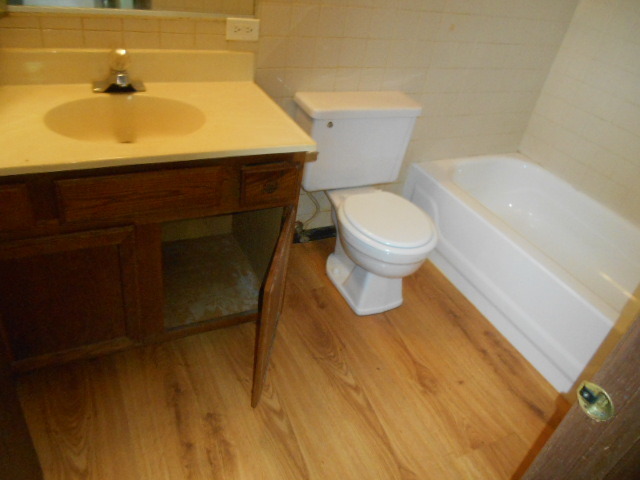 1215 Fulton Drive Streamwood, IL 60107 - Photo 6 of 10