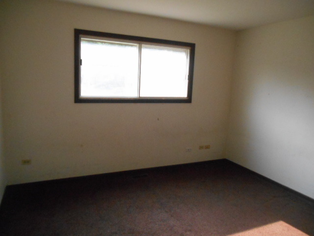 1215 Fulton Drive Streamwood, IL 60107 - Photo 10 of 10