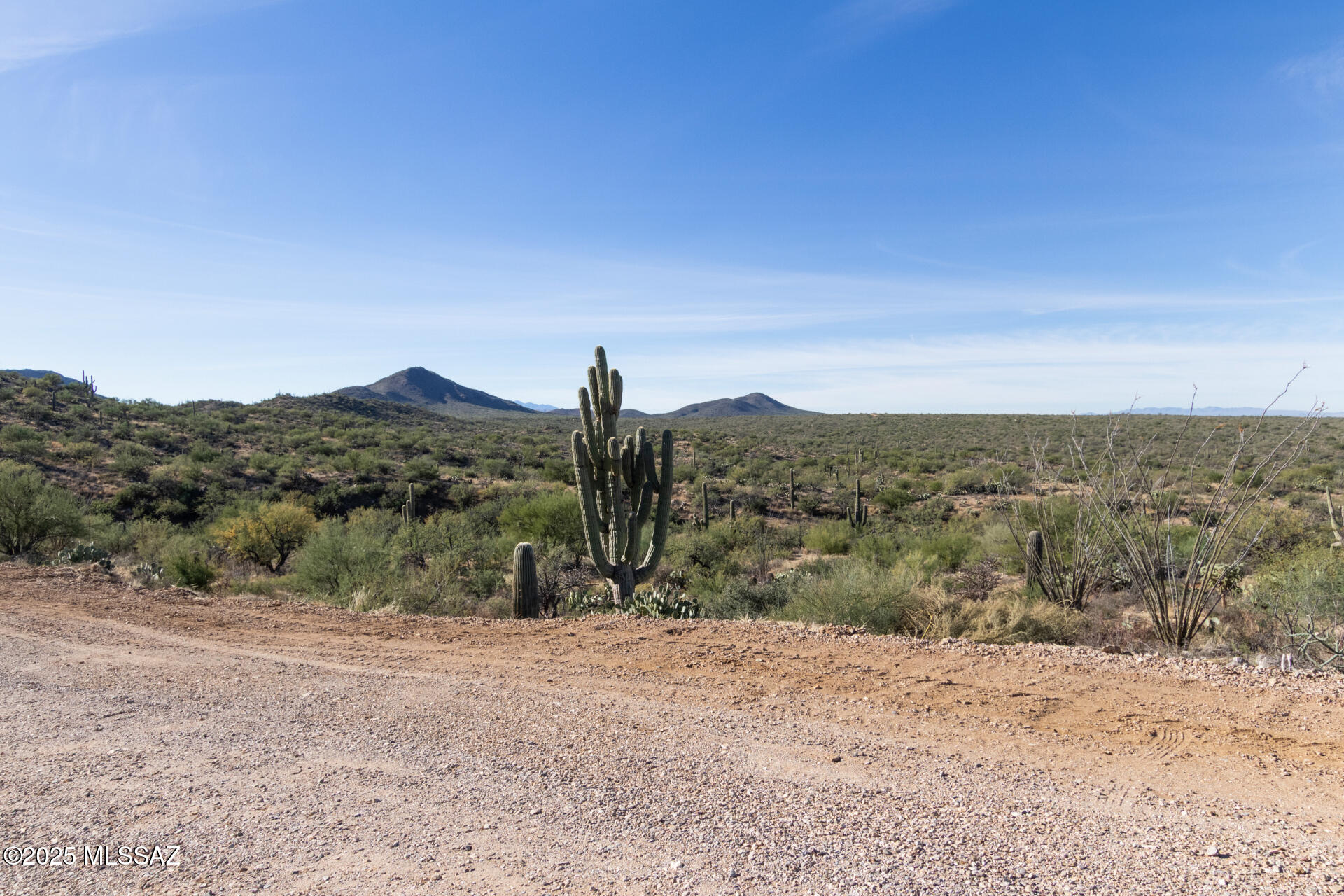 8491 South Pistol Hill Road Vail, AZ 85641 - Photo 42 of 50 Mature Saguaro!