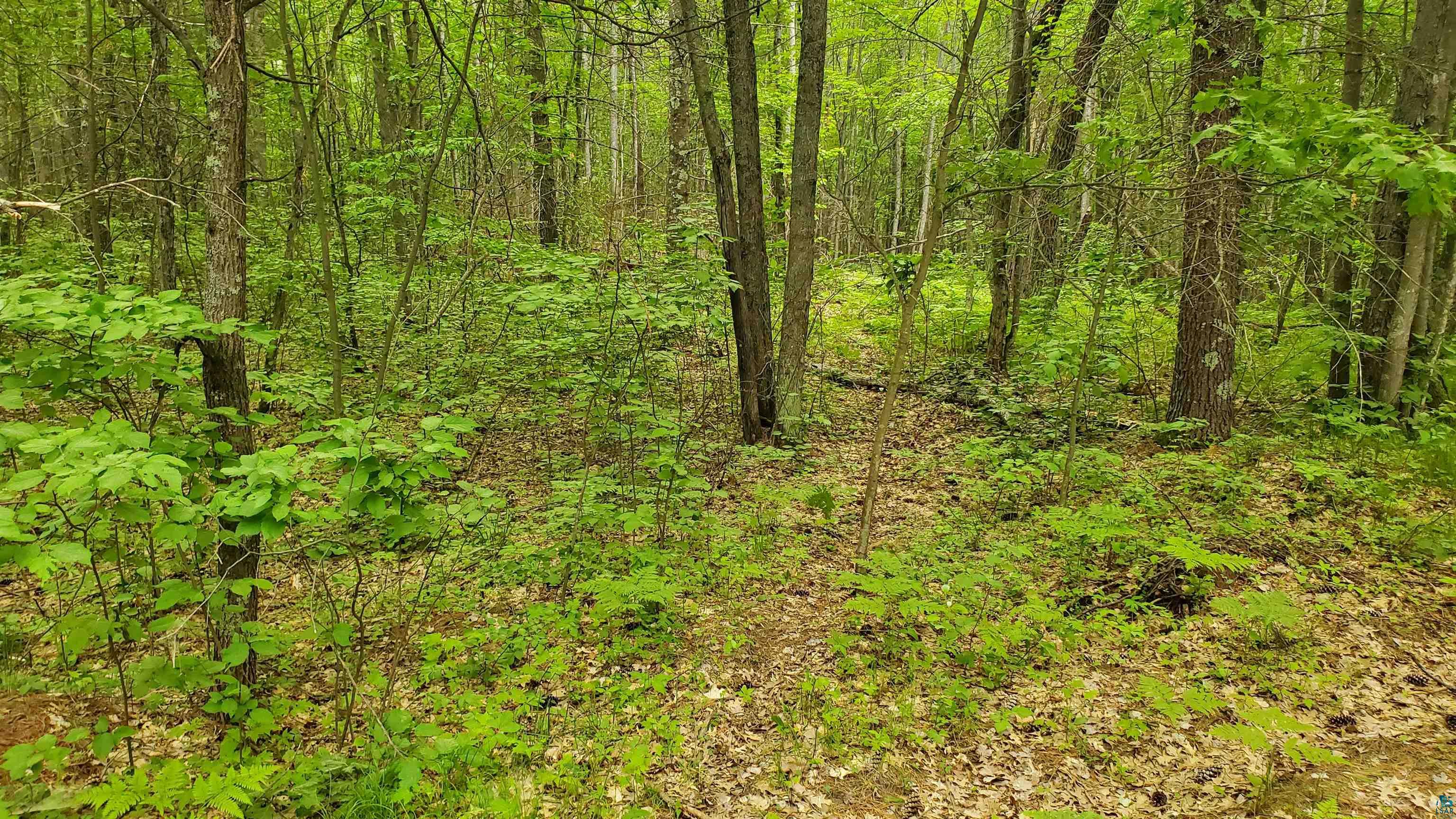 Lot 2 Hart Lake Road Iron River, WI 54847 - Photo 3 of 9 Gallery Image 3