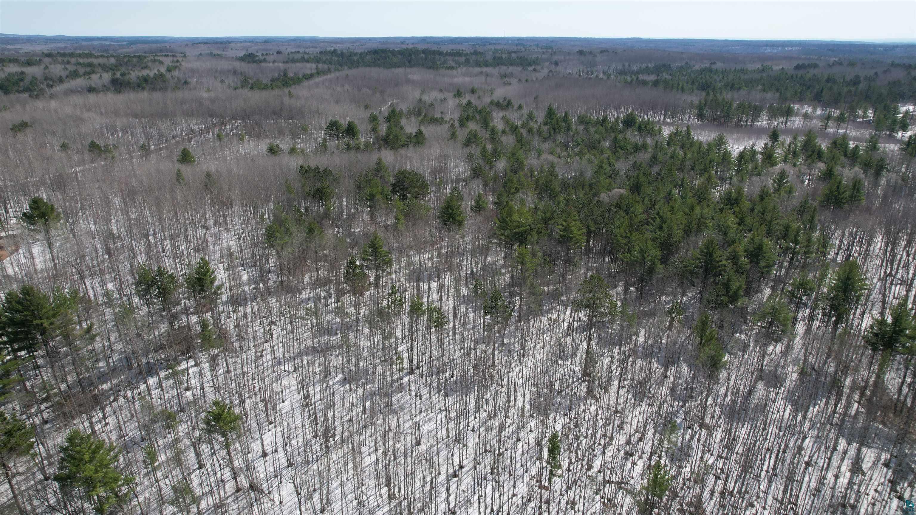 Lot 2 Hart Lake Road Iron River, WI 54847 - Photo 8 of 9 Gallery Image 8