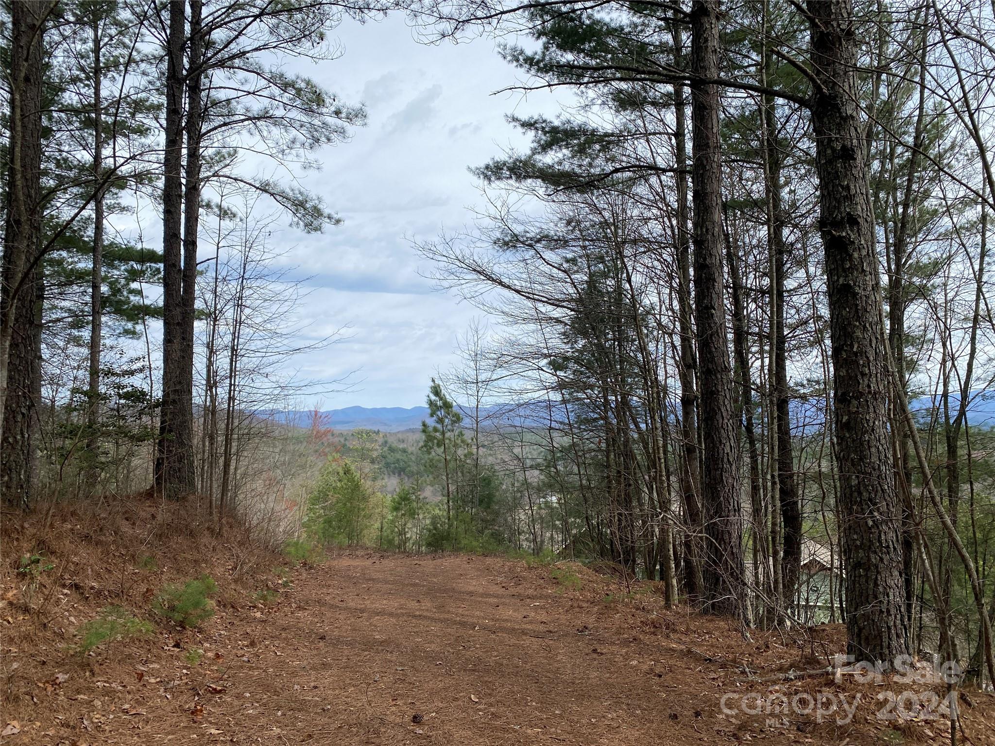 Lot 85 Choctaw Ridge Trail Murphy, NC 28906 - Photo 1 of 12 Gallery Image 1
