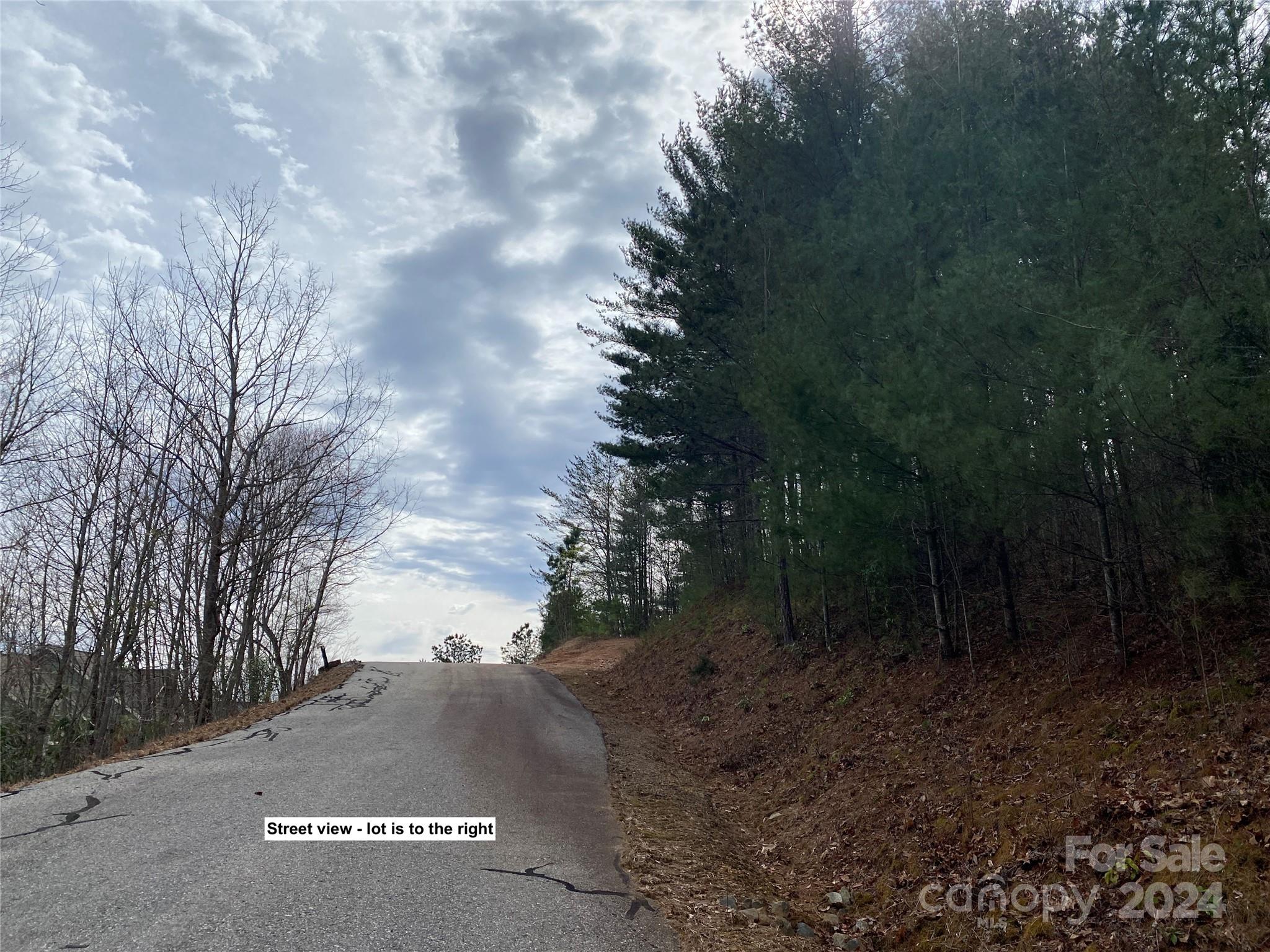 Lot 85 Choctaw Ridge Trail Murphy, NC 28906 - Photo 3 of 12 Gallery Image 3