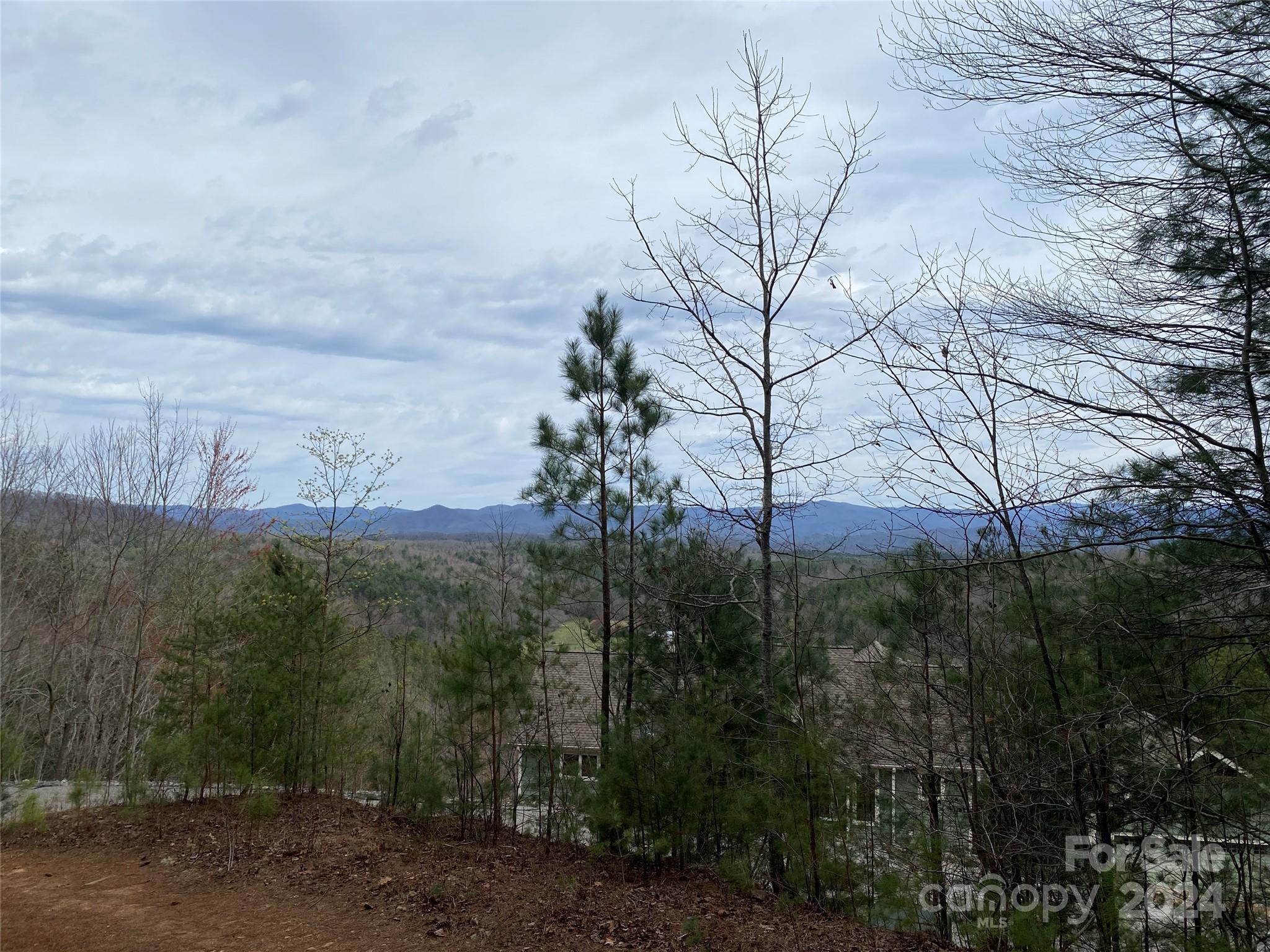 Lot 85 Choctaw Ridge Trail Murphy, NC 28906 - Photo 8 of 12 Gallery Image 8
