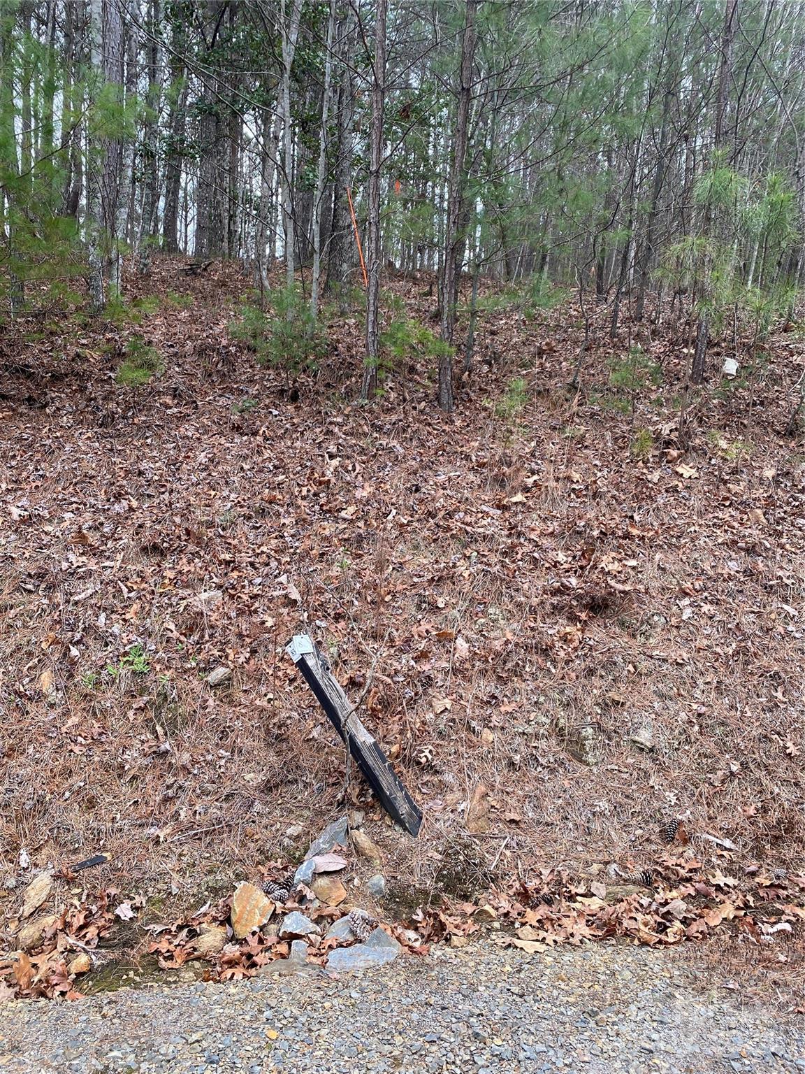 Lot 85 Choctaw Ridge Trail Murphy, NC 28906 - Photo 9 of 12 Gallery Image 9