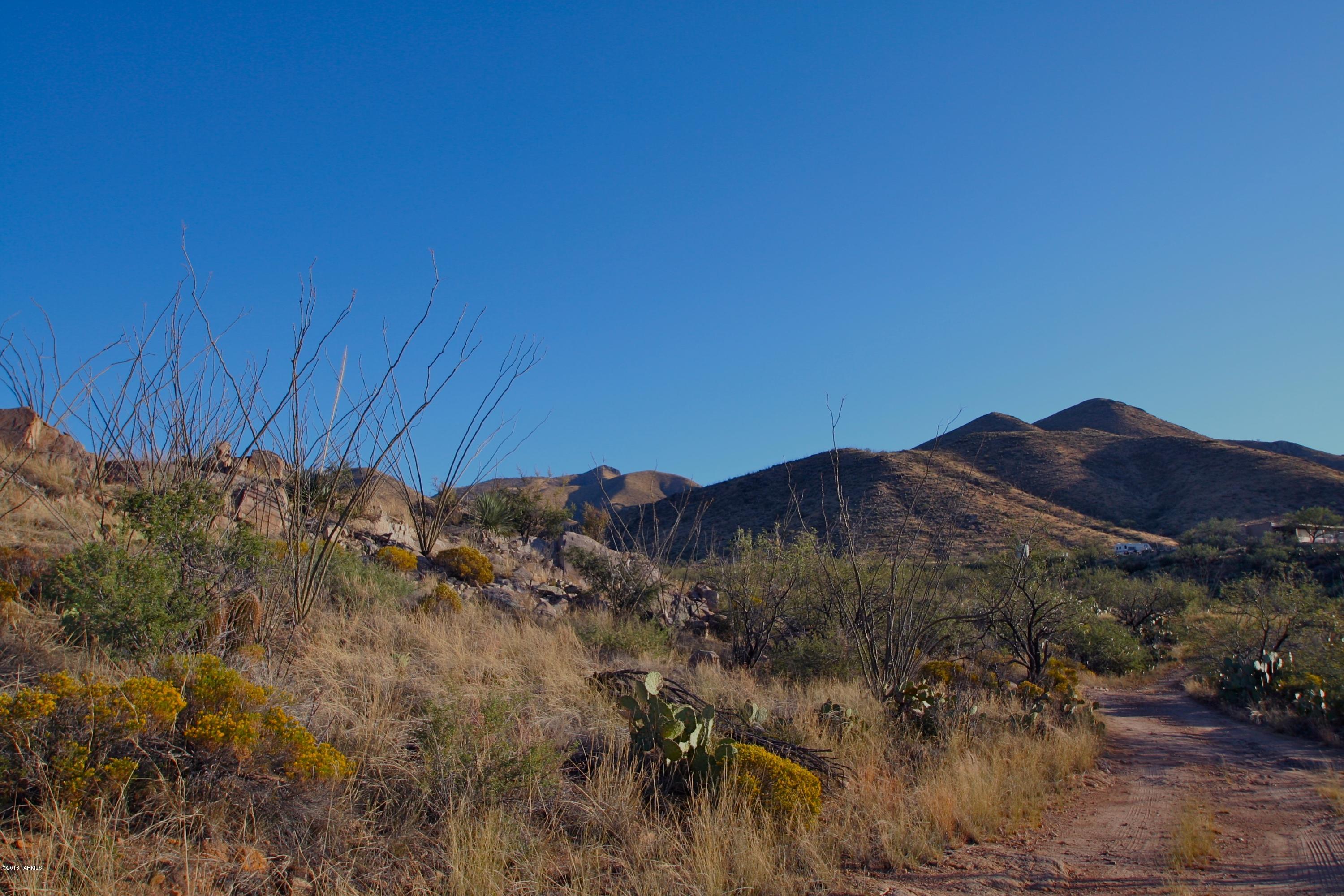 South Little Fawn Vail, AZ 85641 - Photo 8 of 12