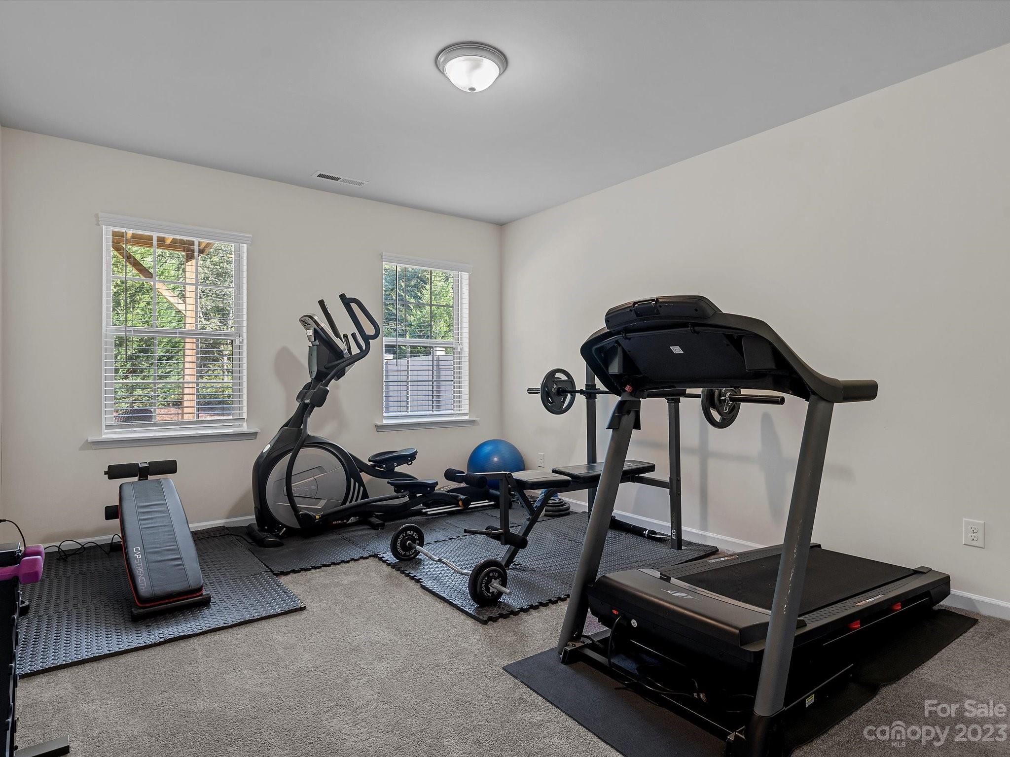 3071 Hartson Pointe Drive Indian Land, SC 29707 - Photo 42 of 48 a room with gym equipment and windows