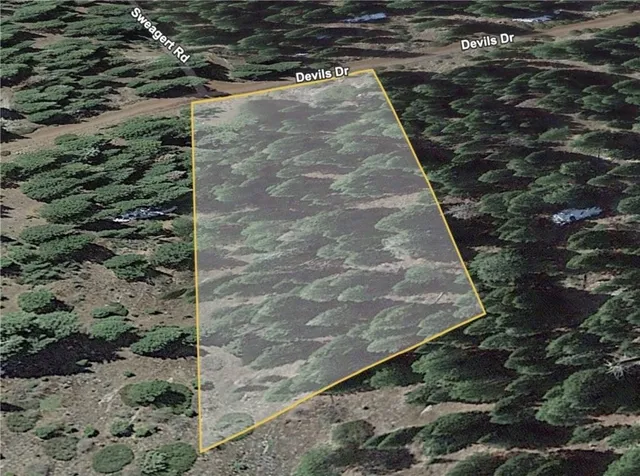 $250 | 0 Devils Drive, Alturas, CA 96101