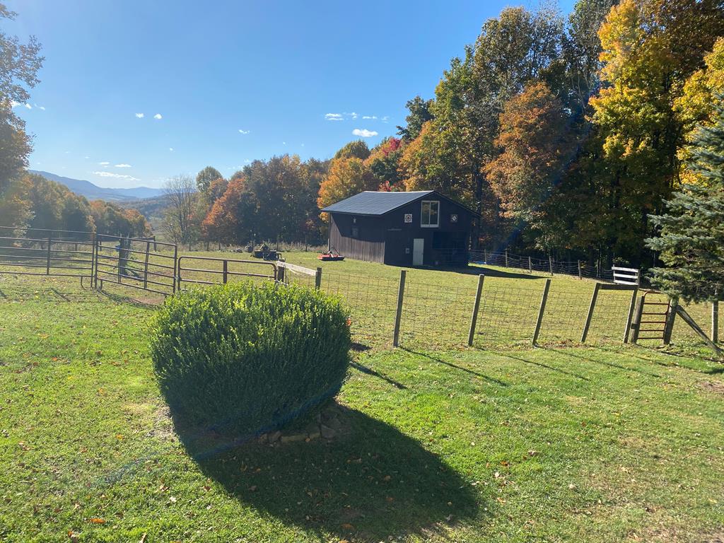 710 Hat Rock Road Tazewell, VA 24651 - Photo 6 of 33 Gallery Image 6