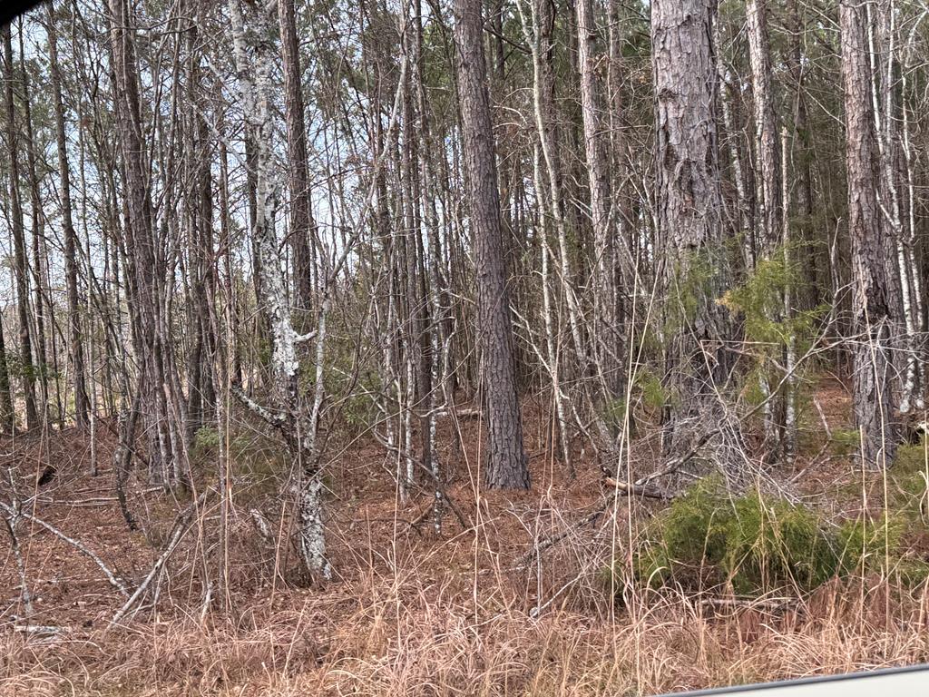 106 State Rd S-24-147 Bradley, SC 29819 - Photo 63 of 71 Gallery Image 63