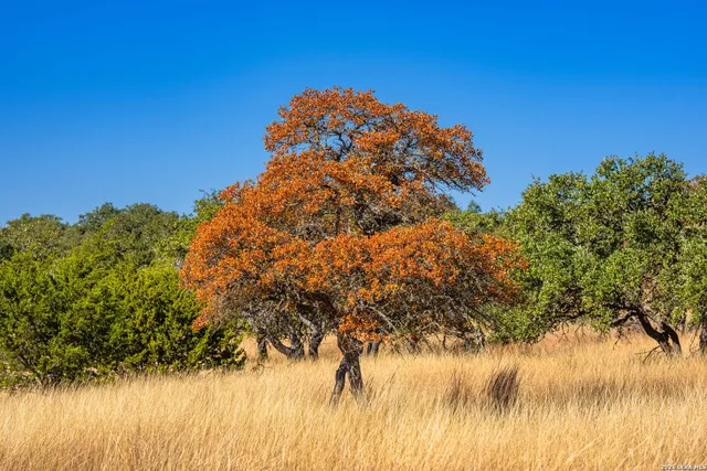 $315,180 | 18 Legacy Oaks Drive, Harper, TX 78631