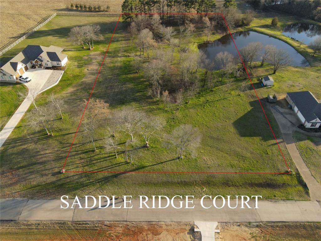 5455 Saddle Ridge Court Athens, TX 75752 - Photo 8 of 25 a view of swimming pool
