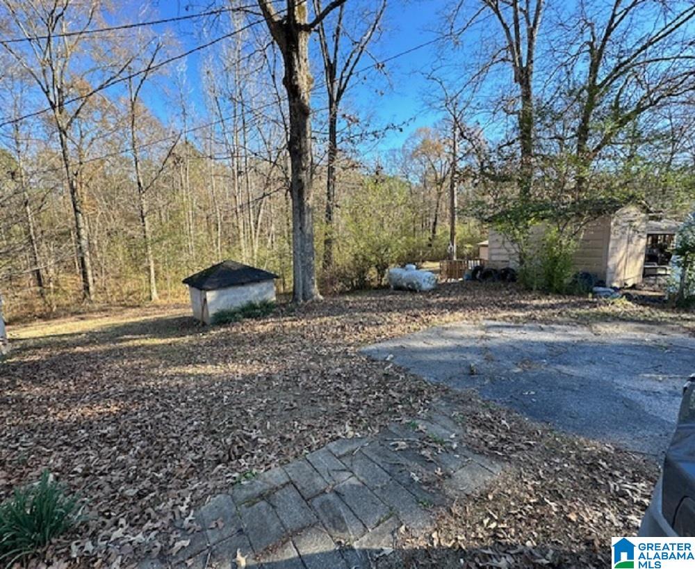 101 Highway 101 Sterrett, AL 35147 - Photo 5 of 25