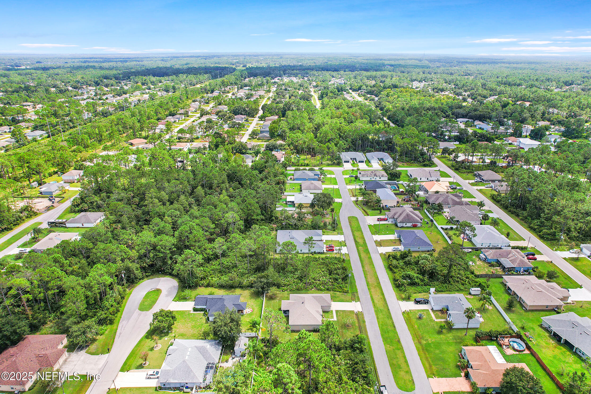 41 Seathorn Path Palm Coast, FL 32164 - Photo 41 of 48 a view of yard