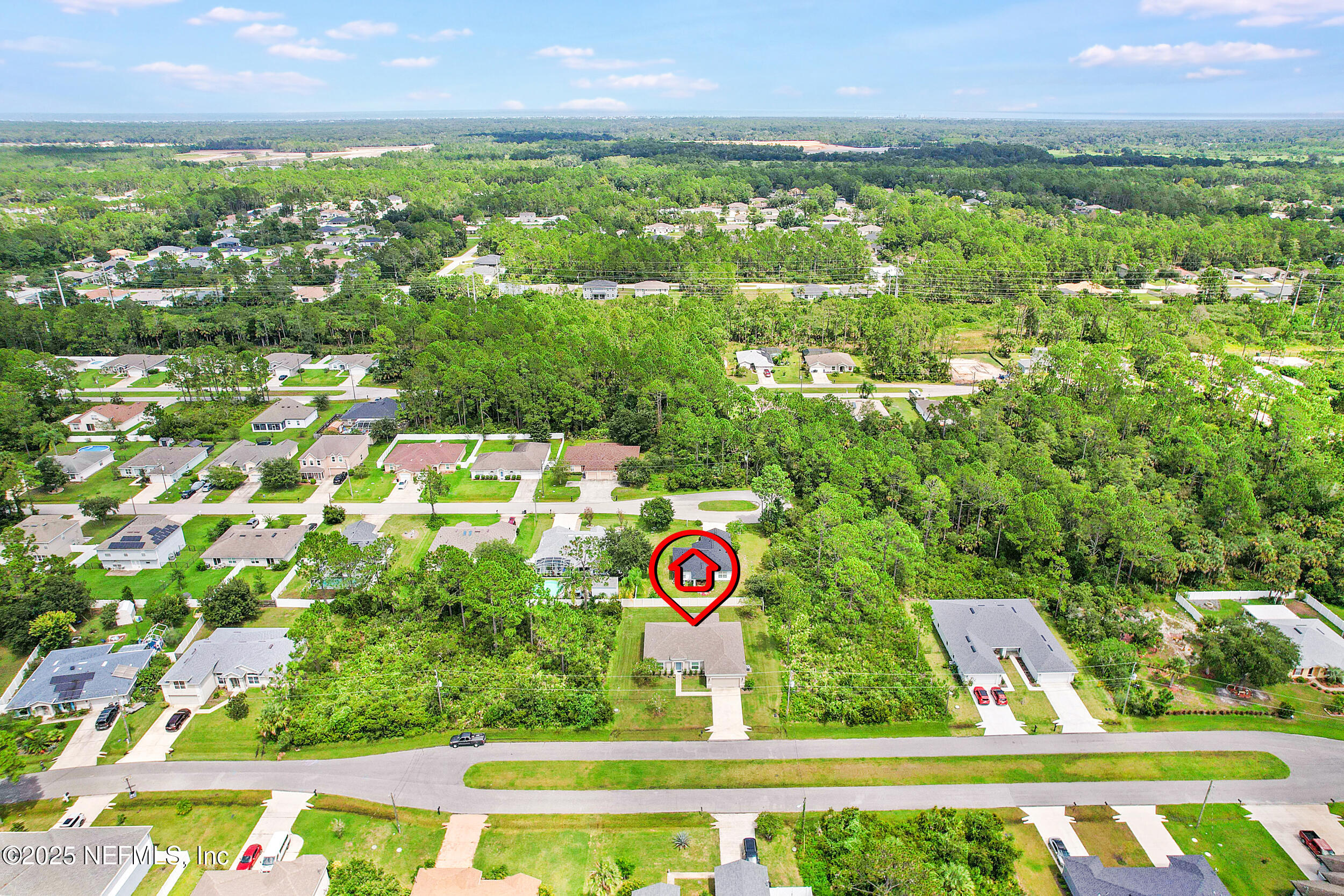 41 Seathorn Path Palm Coast, FL 32164 - Photo 44 of 48 a view of yard