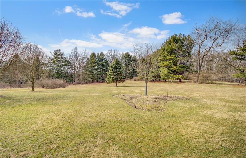 10585 Kummer Road Wexford, PA 15090 - Photo 22 of 22 Back yard