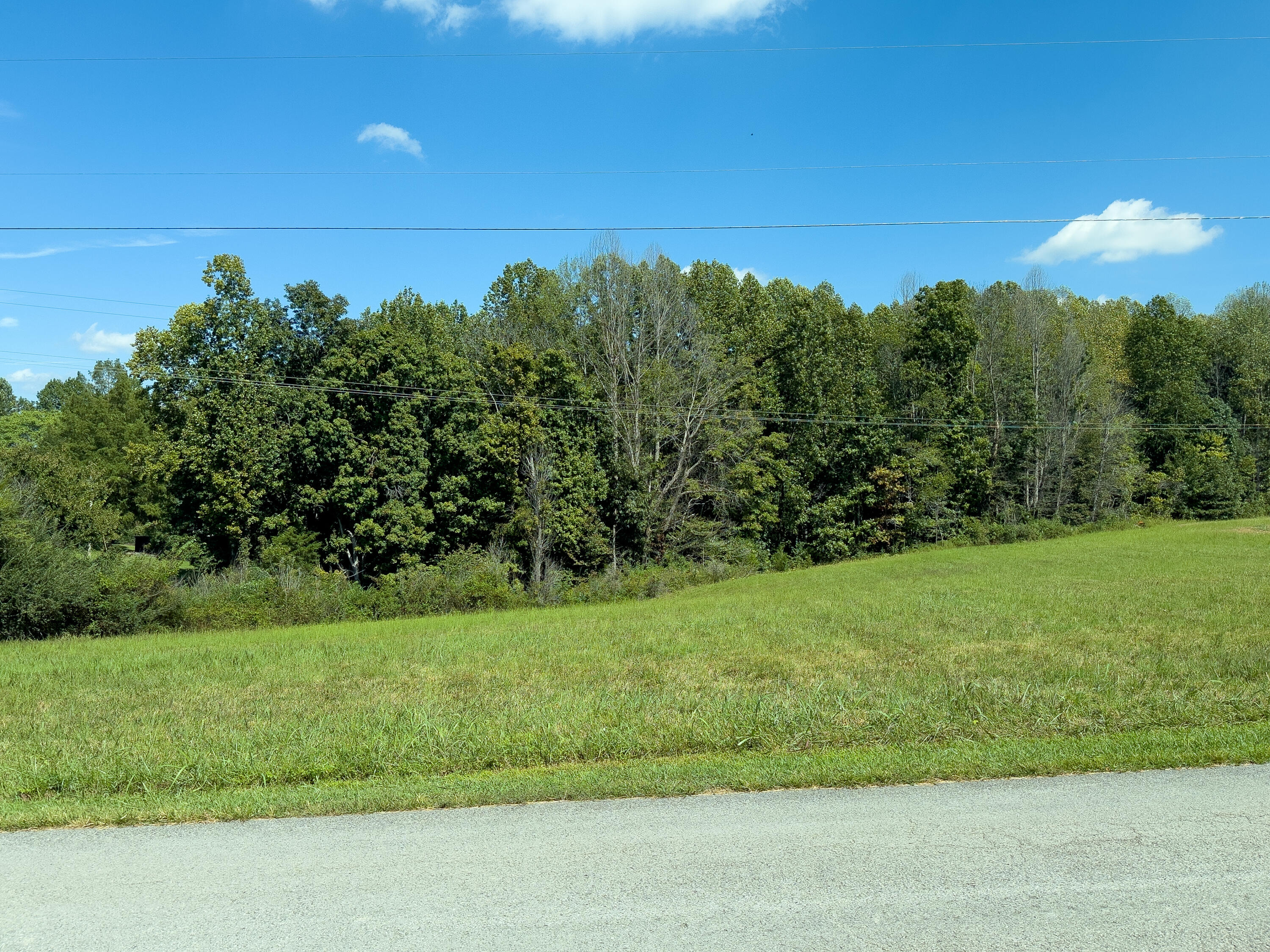 500 Delp Road Liberty, KY 42539 - Photo 3 of 29 IMG_2679