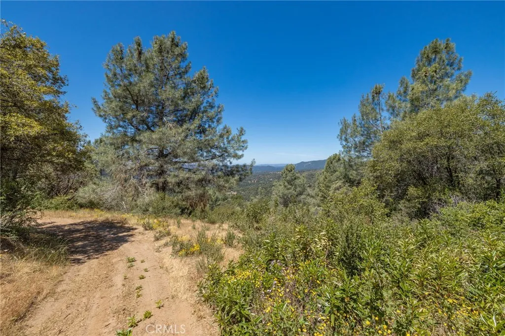 149 Old Yosemite Road Oakhurst, CA 93644 - Photo 57 of 74 Gallery Image 57