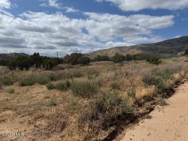 Palgrane Road Acton, CA 93510 - Photo 2 of 4 IMG_3528