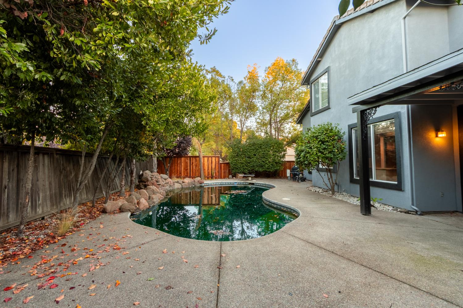 2024 Archer Circle Rocklin, CA 95765 - Photo 35 of 52 a view of a backyard with potted plants and large tree