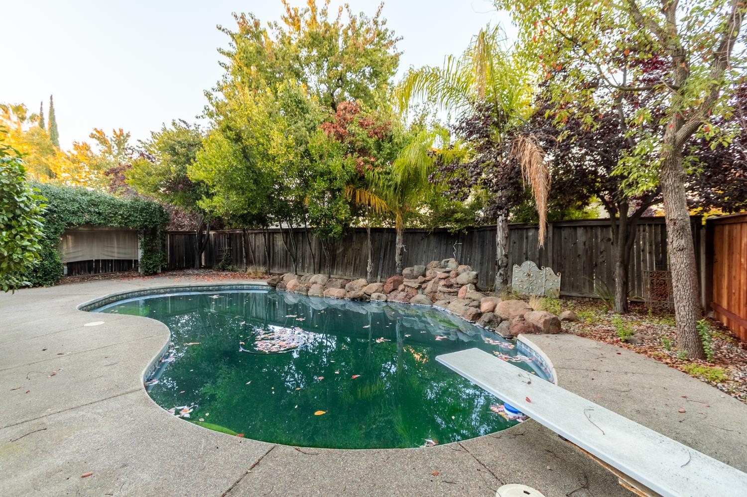 2024 Archer Circle Rocklin, CA 95765 - Photo 37 of 52 a view of a backyard with sitting area and tree