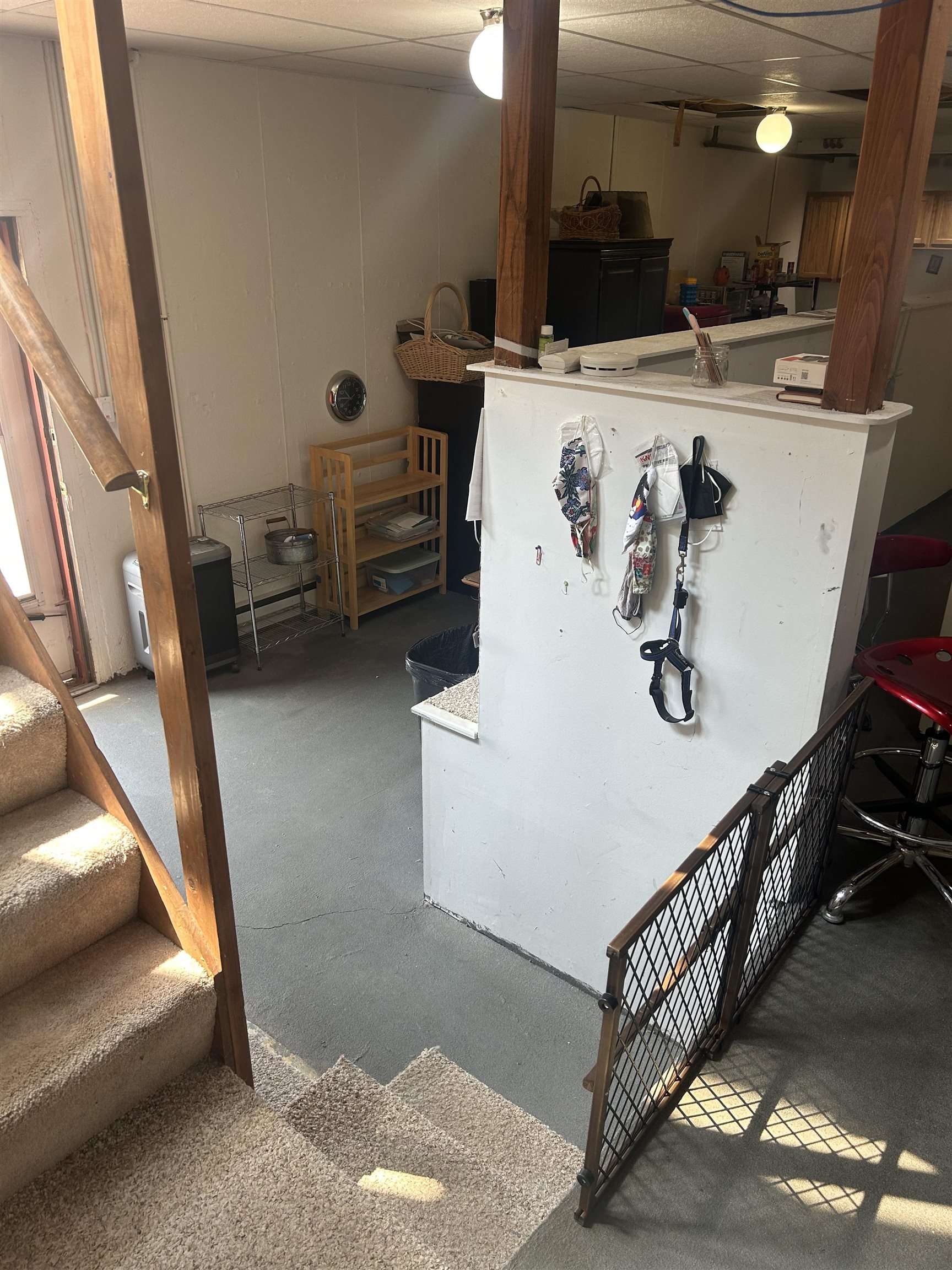 1683 Mae Court Fruita, CO 81521 - Photo 25 of 38