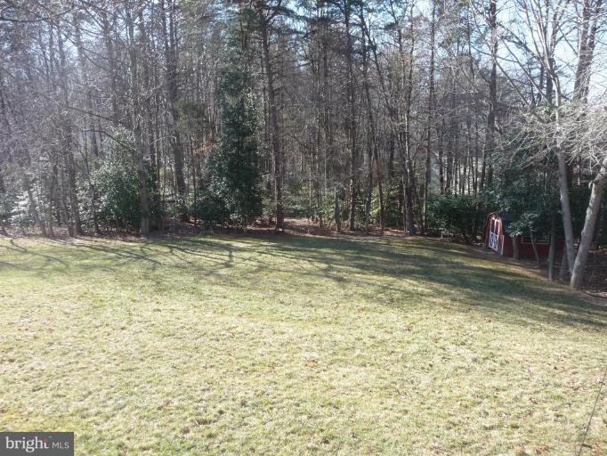2818 Rifle Ridge Road Oakton, VA 22124 - Photo 20 of 23 Private Rear Yard