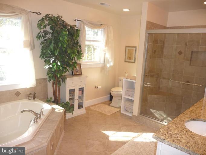 2818 Rifle Ridge Road Oakton, VA 22124 - Photo 3 of 23 Luxury Master Bath