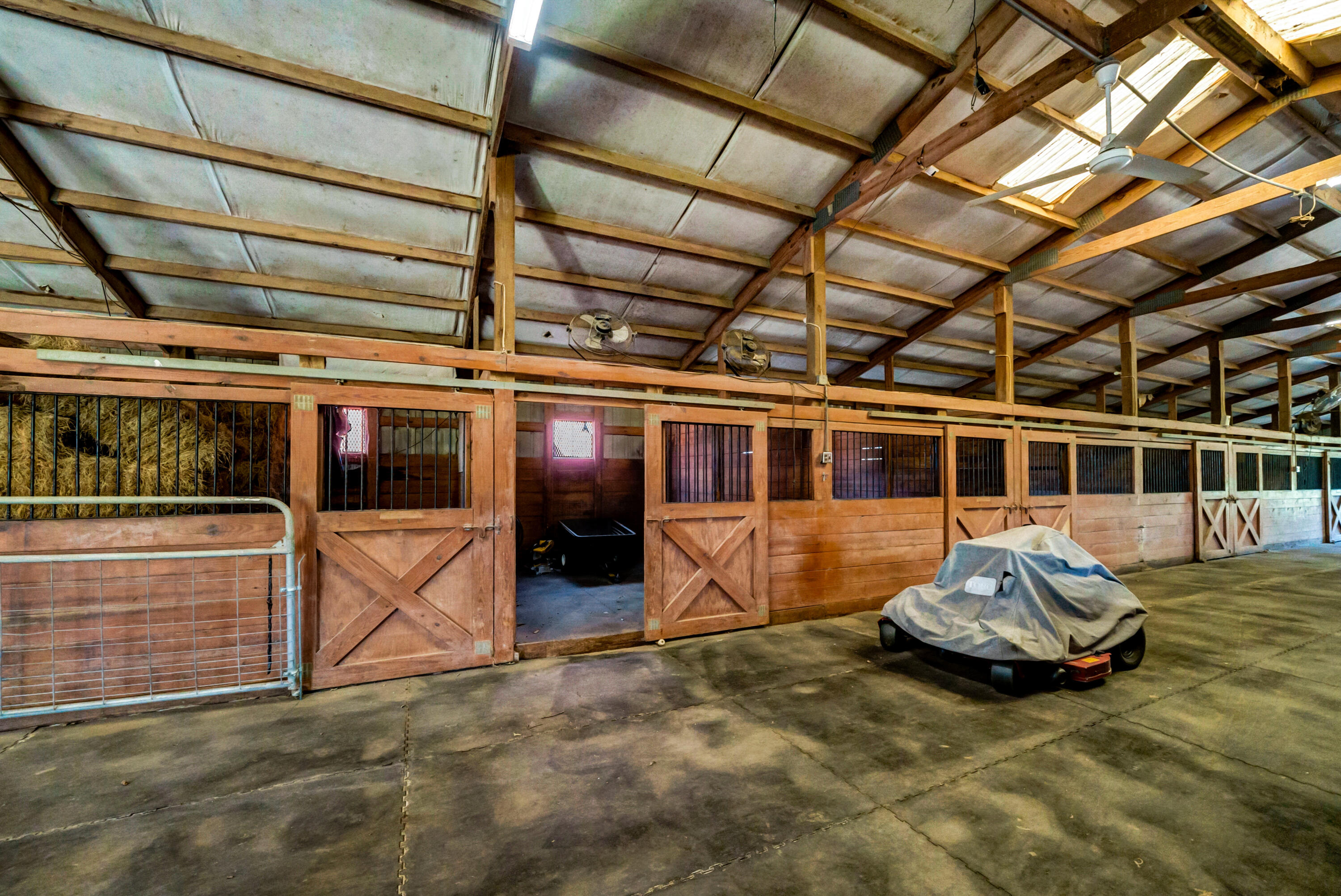 320 Adams Lane Gilbert, SC 29054 - Photo 63 of 92