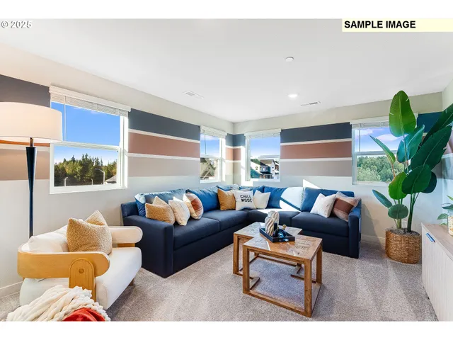a living room with furniture a rug and a potted plant