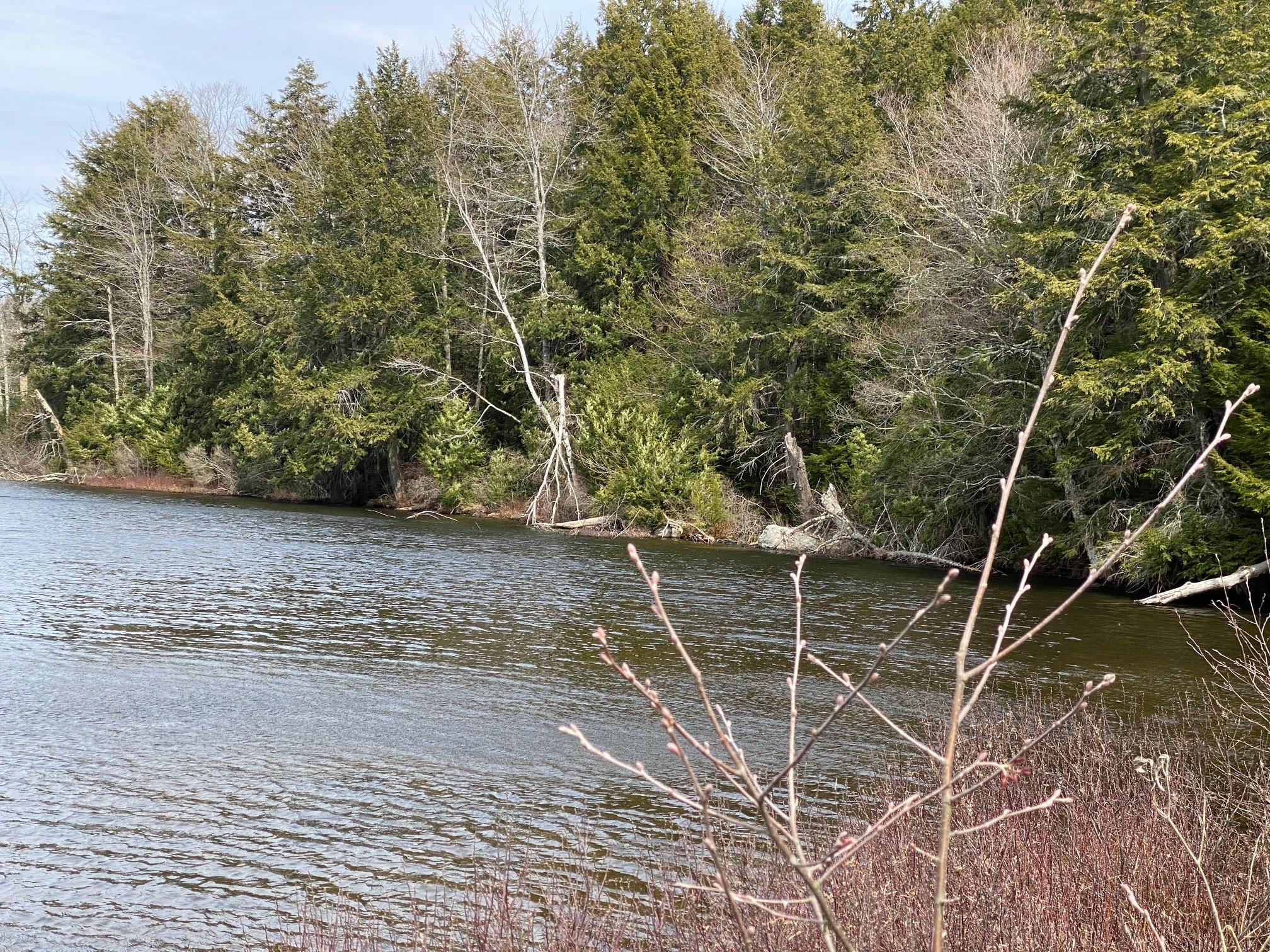 0 Goosepecker Ridge Montville, ME 04941 - Photo 2 of 20 IMG_1945