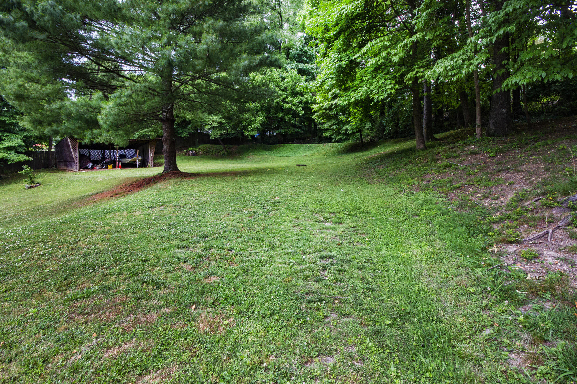 113 Tilden Road Oak Ridge, TN 37830 - Photo 8 of 36 IMG_0077