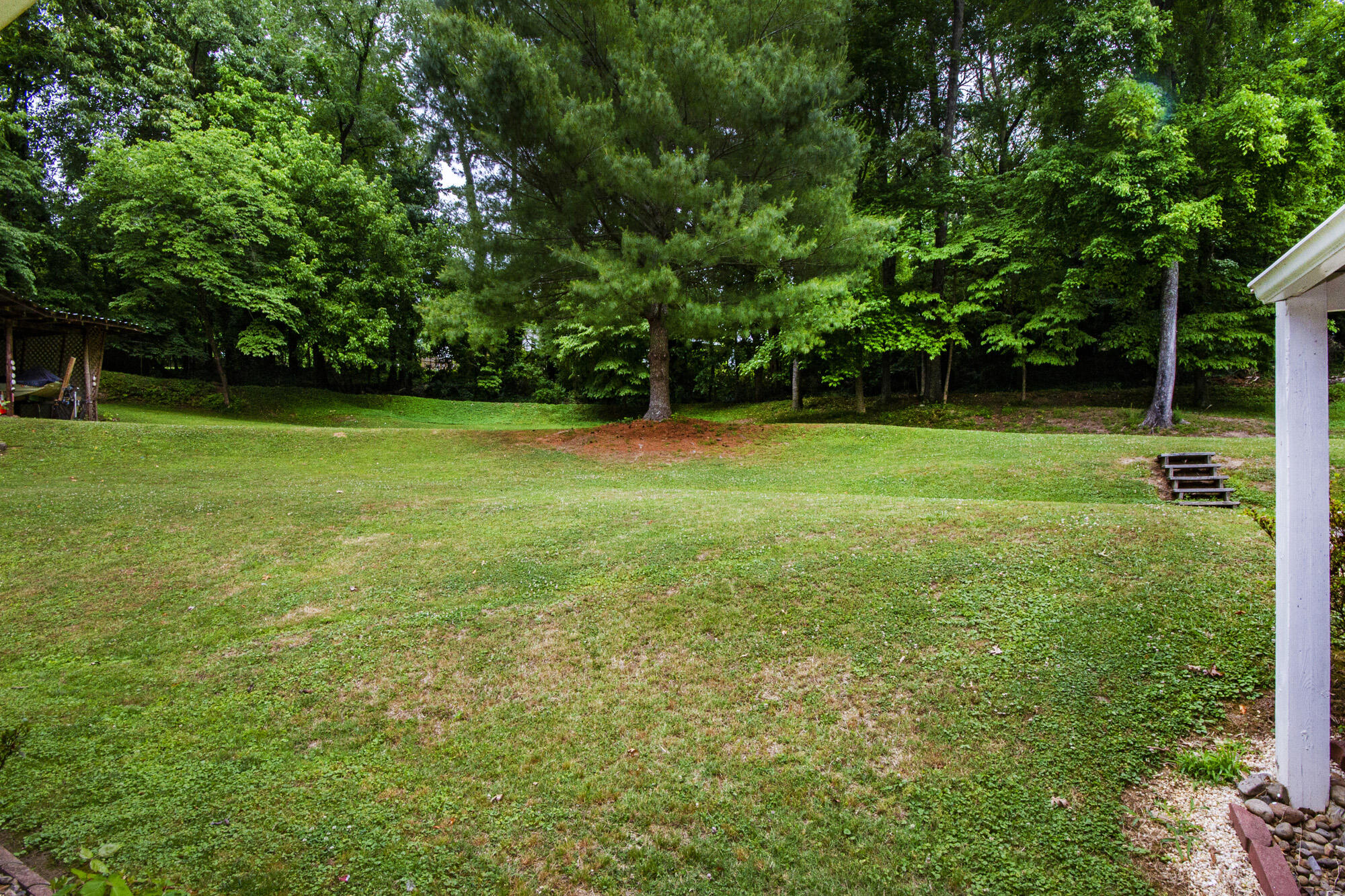 113 Tilden Road Oak Ridge, TN 37830 - Photo 10 of 36 IMG_0071