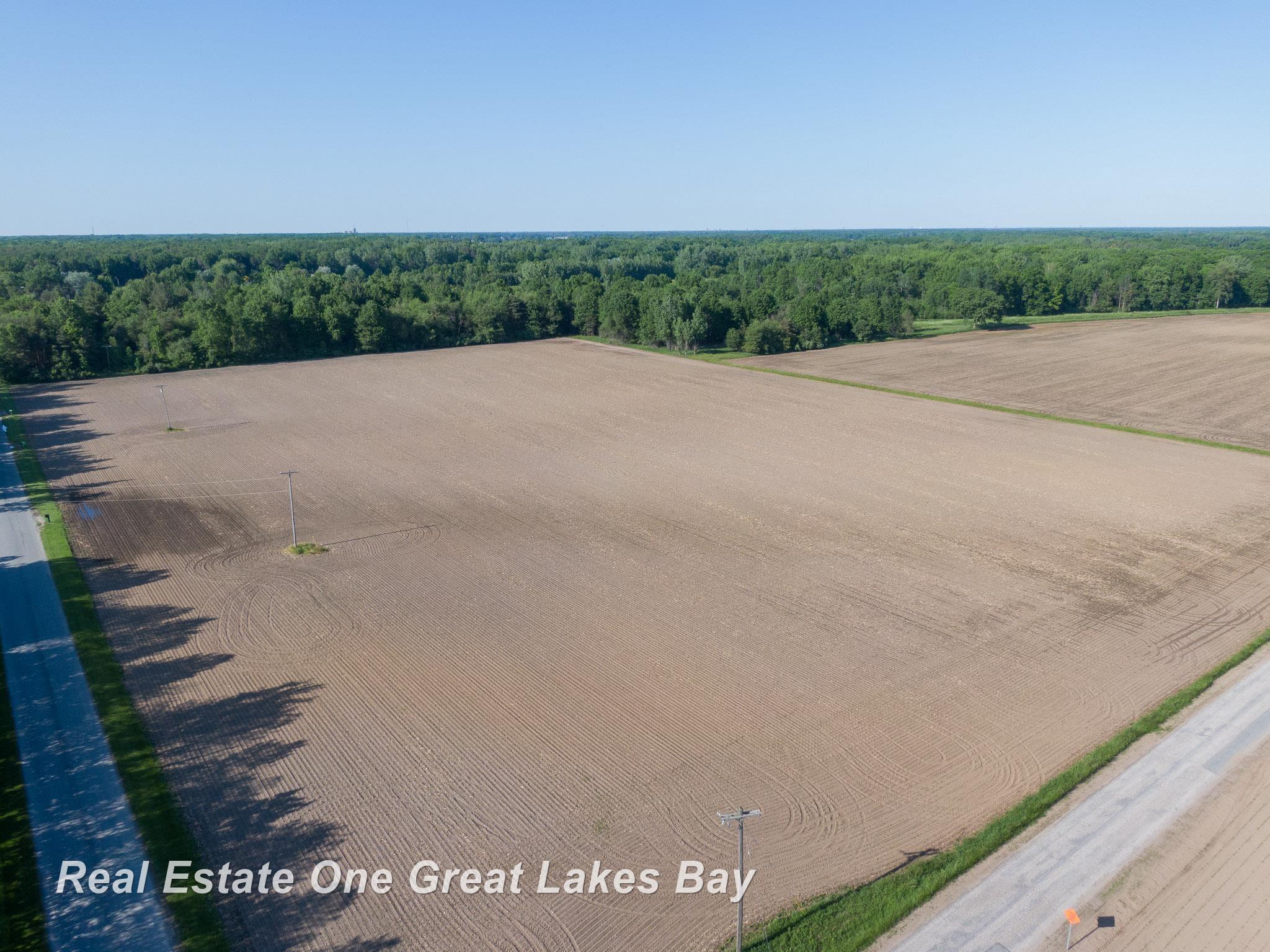 Roosevelt Road Hemlock, MI 48626 - Photo 2 of 28